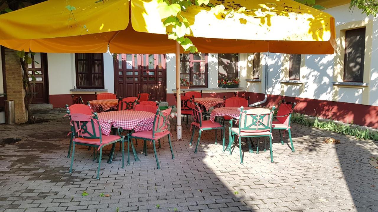 100 Eves Fogado Bed and Breakfast Szatymaz Eksteriør billede